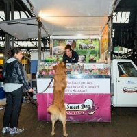 A Milano è arrivato Dog Sweet Dog, lo Street food per cani